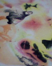 Viscolycra 1,80 x 0,50