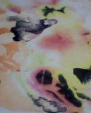 Viscolycra 1,80 x 0,50